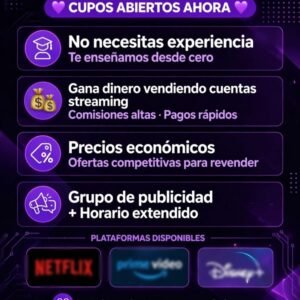 NETFLIX INTERNACIONAL